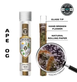 APE BLUNT