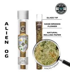 APE BLUNT