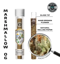 APE BLUNT