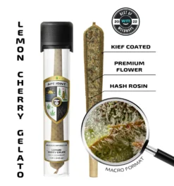 APE HASH ROSIN INFUSED