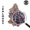 APE JEALOUSY Premium Flower