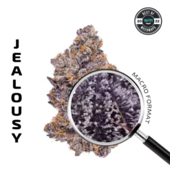 APE JEALOUSY Premium Flower