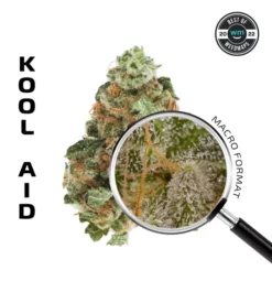 APE Kool Aid Premium Flower