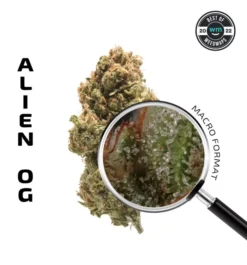 APE Alien OG Flower