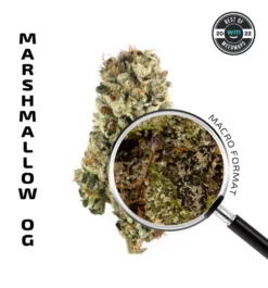 APE Marshmallow OG Premium Flower
