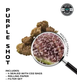 APE PURPLE SHOT Premium Flower